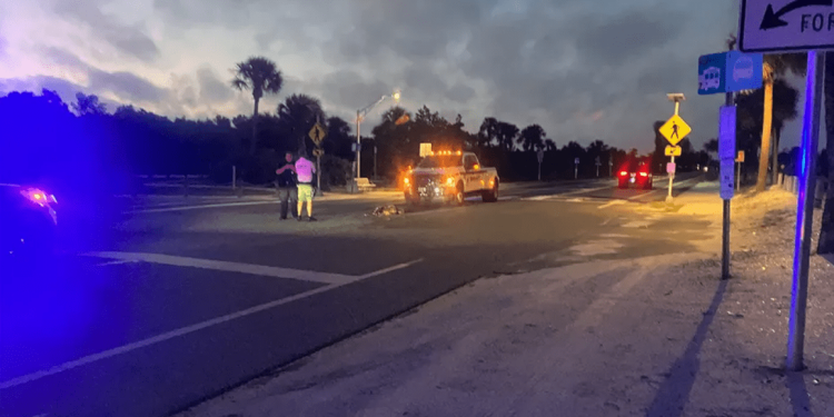 Tartaruga marina viene disorientata dai lampioni e dopo aver deposto, viene investita da un’auto in transito