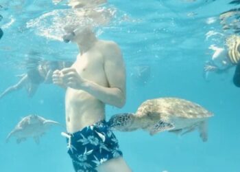 Creta, aumentano i casi di morsi di tartaruga ai bagnanti: gli esperti spiegano perché