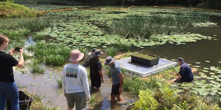 Installata la nuova “Turtle Island” per proteggere le uova delle tartarughe della Central Coast australiana